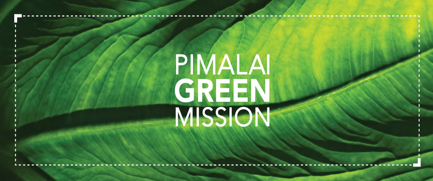 pimalai